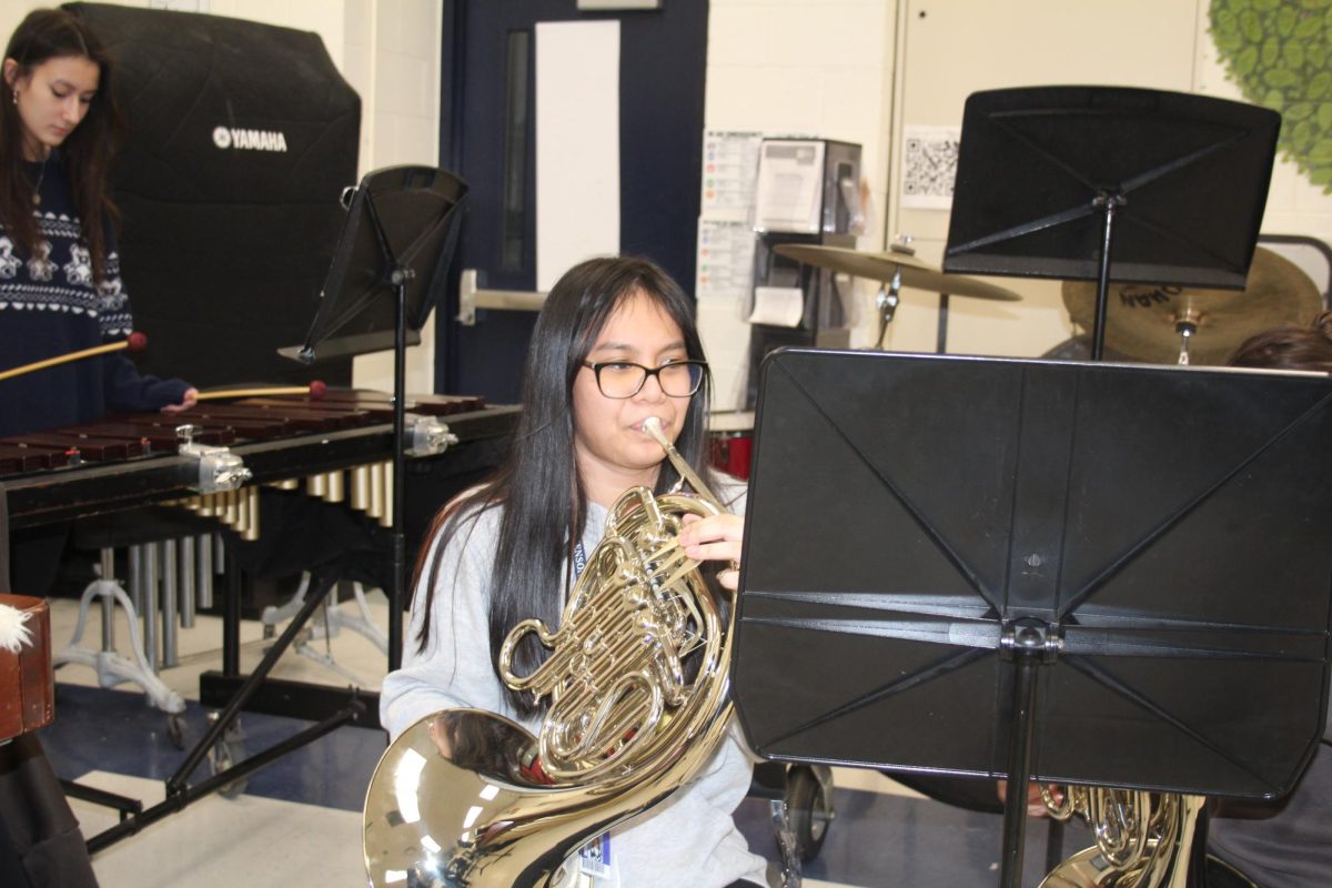 Lost in the melody, Leah Santos, 11
skillfully plays the French horn, showing her passion. "Playing an instrument isn’t much of a hassle given my experience from many years ago, and it’s a really
enjoyable distraction," Santos said. 